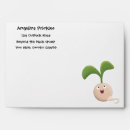 Search for seed envelopes Plant