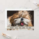 Search for tongue cards Pets