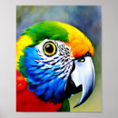 Search for colourful parrot posters Portrait