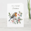 Search for winter robin christmas cards Watercolor