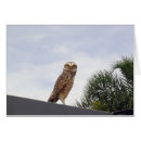Search for wise photography Owl