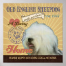 Search for old english sheepdog art Pet