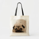 Search for indoors bags Dog