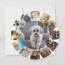 Search for round cards Collage