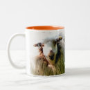 Search for two sheep mugs Cute