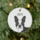 Search for boston christmas tree decorations White