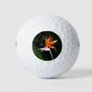 Search for bird golf balls Green