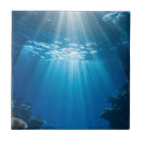 Search for coral reef tiles Tropical
