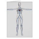 Search for sinus postcards Cutout