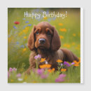 Search for cocker spaniel magnets Flowers