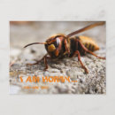 Search for slogan photography Animals