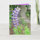 Search for mom birthday cards Floral