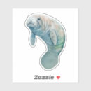 Search for manatee stickers Water