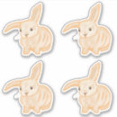 Search for rabbit drawing stickers Cute