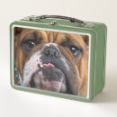 Search for bulldog lunch boxes Dog lover
