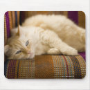 Search for sofa mousepads Domestic animals