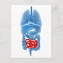 Search for organisms postcards Physiology