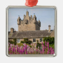 Search for remote christmas tree decorations Scot