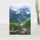 Search for glacier cards National