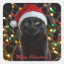 Search for santa hat christmas stickers Black cat