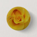 Search for yellow rose badges Bloom