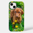 Search for pointer iphone cases Puppy