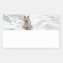 Search for doggy photography Dogs