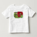 Search for begonia clothing Red