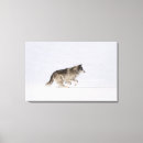 Search for wild side canvas prints Animal