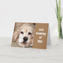 Search for cocker spaniel birthday cards Dog