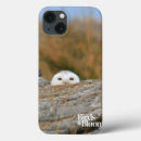 Search for owl pics cases Birds of prey