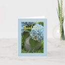 Search for hydrangea thank you cards Summer