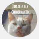 Search for chiropractic stickers Chiropractor
