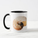 Search for nautilus shell mugs Animal