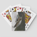Search for turtle playing cards Animal