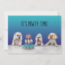 Search for gotcha day invitations Adoption