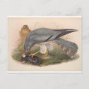 Search for tree mouse postcards Animal