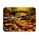 Search for creek fall magnets Rock