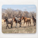 Search for equine electronics Brown
