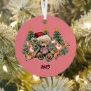 Search for bear christmas tree decorations Xmas