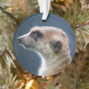 Search for prairie dog christmas tree decorations Wildlife