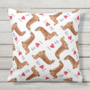 Search for dachshund cushions Dachsie