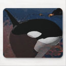 Search for whales mousepads Killer whale