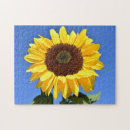 Search for bright puzzles Yellow