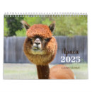 Search for alpaca calendars Animals