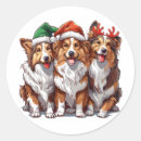 Search for shetland sheepdog stickers Herding dog