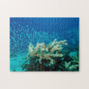 Search for barrier reef puzzles Ocean