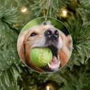 Search for golden retriever christmas tree decorations Animal