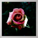 Search for romantic red rose posters Roses
