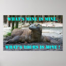 Search for komodo dragon posters Reptile